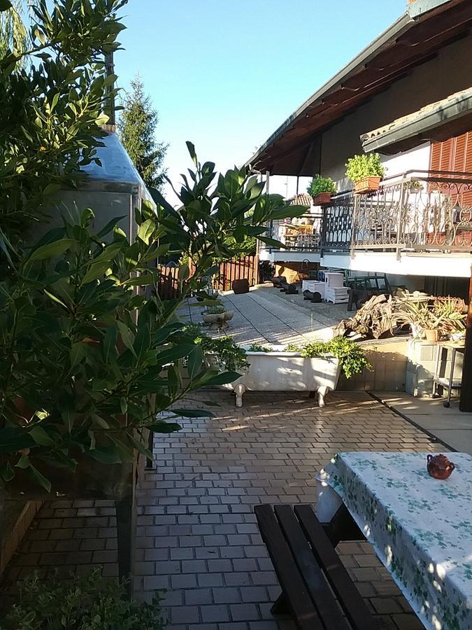 B&B La Gerbolina San Giusto Canavese Buitenkant foto